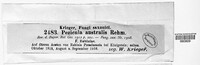 Pezicula australis image